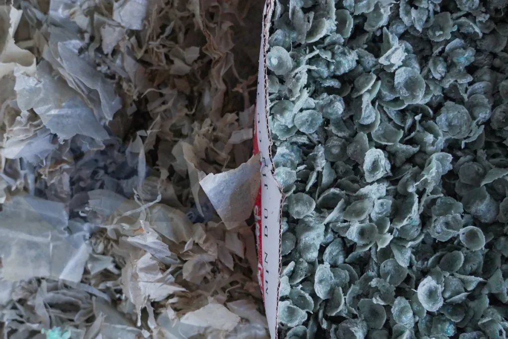 Washed PE film flakes (left) and the denser squeezer output (right)